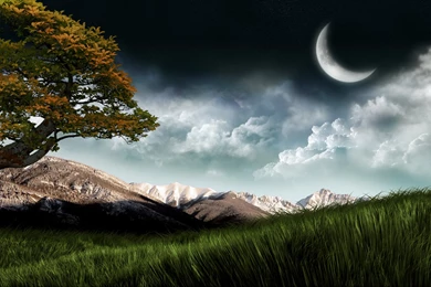 Free Wallpapers: Free Laptop Wallpapers