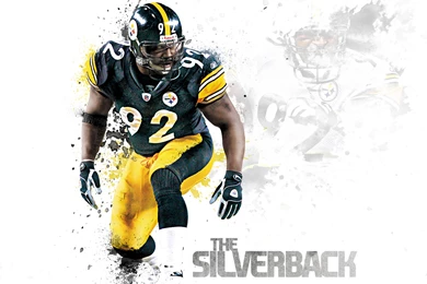 Steelers Desktop Collection Pittsburgh Ultimate Harrison ...