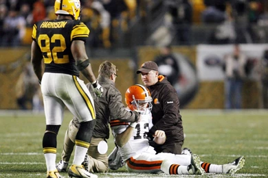 James Harrison Wallpapers 30