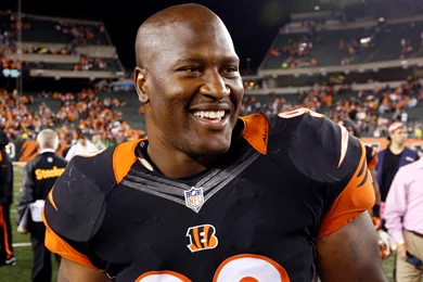 James Harrison, Former Steelers Star, Announces His Retirement ...