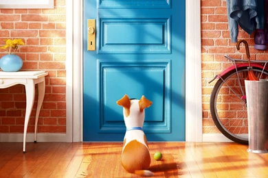 The Secret Life Of Pets Movie Wallpapers