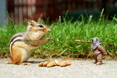 Wallpapers Quotes For Iphone Tumblr Life Hd Funny Love For Mobile ...