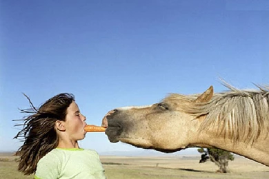 27 Very Funny And Comedy Wallpapers In HD