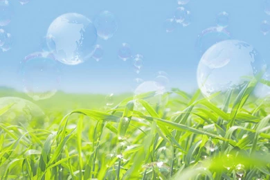 High Definition Summer Sunshine Desktop Backgrounds Widescreen And ...