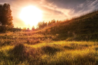 Sunshine Wallpapers Free – Wallpapers