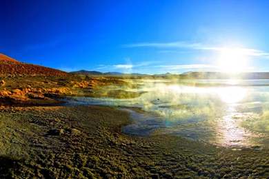 Coastal Sunshine   (