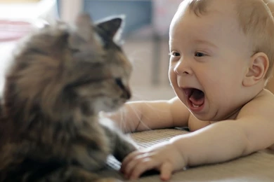 Latest Nude Funny Baby Using Laptop HD Wallpapers 2015