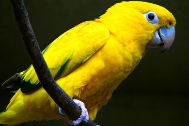 Beautiful Wallpapers Of Colour Hd (83)