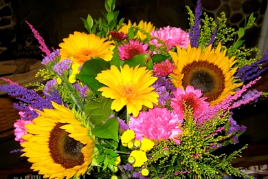 Beautiful Wallpapers Of Colour Hd (6)