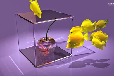 3D Yellow Colour Fish Photos