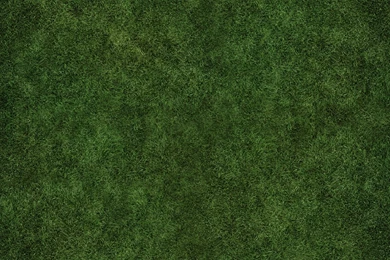 Sport iPad Wallpapers