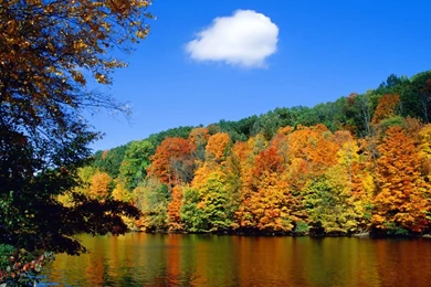 Wallpapers Photos Download   HD Wallpapers Pretty