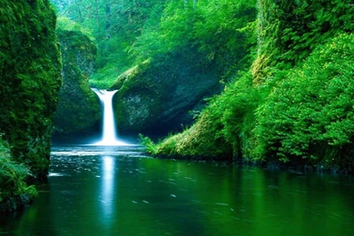 Stock Photos Wallpapers Photography Wallpapers 2014 Hd