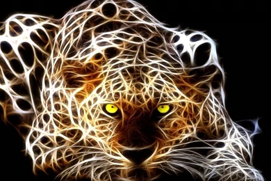 Wallpapers: Tiger 3D Wallpapers