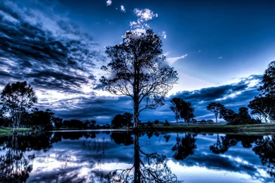Magnificent Reflective Pond   (