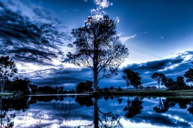 Magnificent Reflective Pond   (