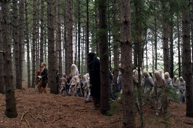 Woods Backgrounds 77303 Bitwallpapers