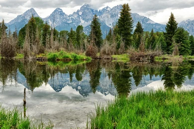 Download Wallpapers Mirror Lake In The Woods On A Backgrounds Of ...