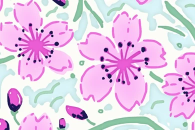 Cherry Blossom Pink Nation Wallpapers