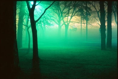 Smoke Mirror Woods Forest Wallpapers