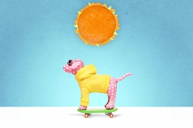 PINK Nation Exclusives – VS Pink At Florida State University