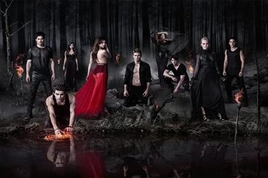 The Vampire Diaries Damon Salvatore