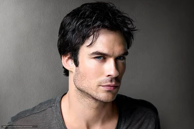 TV Series, Damon Salvatore, Actor, The Vampire Diaries, Ian ...