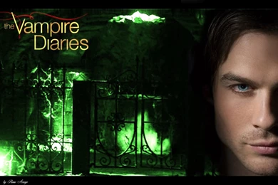 The Crypt Damon Salvatore Wallpapers (32741381) Fanpop