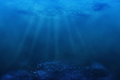 Ocean Floor Wallpapers   Wallpapers Cave