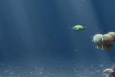 Iphone4 Ocean Floor.jpg