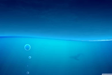 Ocean Floor Backgrounds