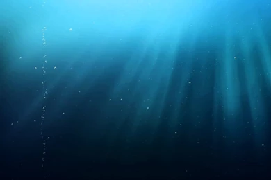 Ocean Floor Backgrounds