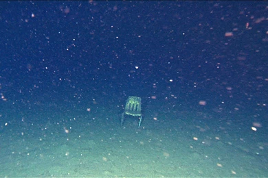 WIRED Science's Most Popular Image Galleries Of The Year