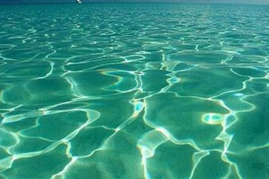 Ocean Floor Iphone Backgrounds