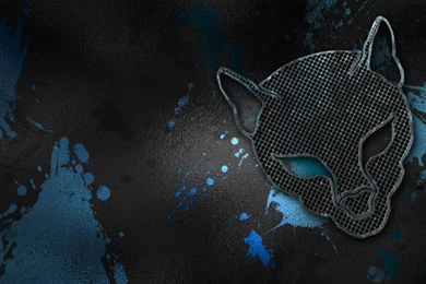 Hd wallpaper for windows 8.1 wallpapers