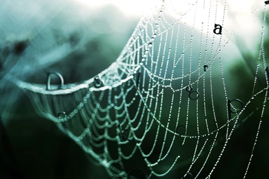 Best Wallpapers Hd Collection (33+)