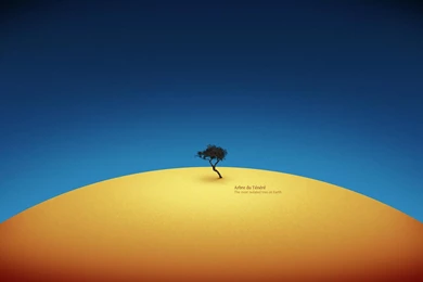 The Most Isolated Tree On Earth Best Hd Wallpapers 1680x1050 ...