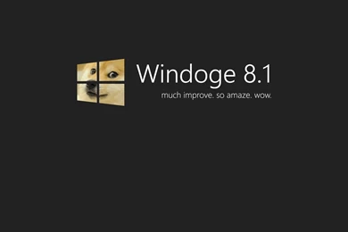 Doge Windows 8.1 Wallpapers   MixHD Wallpapers