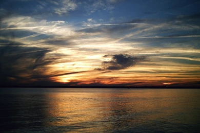 File:White Point At Charleston SC.jpg Wikimedia Commons