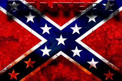 16 Pantera HD Wallpapers