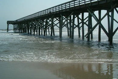 Charleston, SC : Pier In Isle Of Palms, Charleston Photo, Picture ...