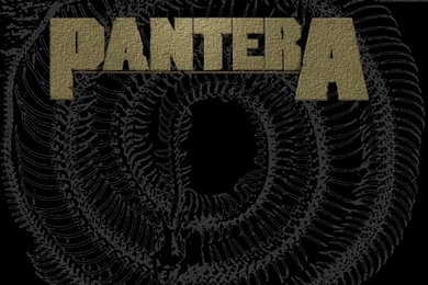 Pantera By Commodore Sexy On DeviantArt