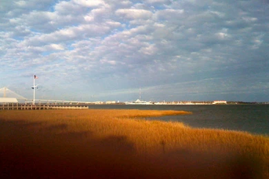 Homes With A Water View In Downtown Charleston