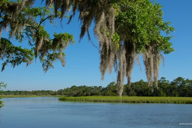 Charleston, SC Wallpapers