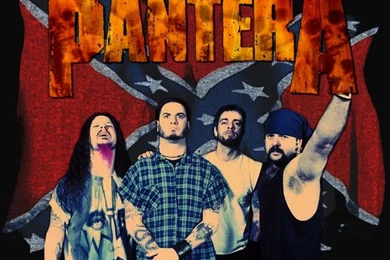 Pantera Backgrounds   Wallpapers Cave