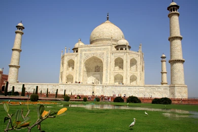 File:Exotic Taj Mahal..JPG   Wikimedia Commons