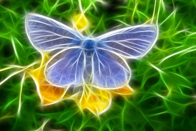 Description Animal Wallpapers Colorful Creative Animal Wallpapers ...