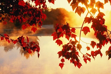 Nice Autumn Wallpapers Desktop Hd 1280x720 Hd Wallpapers Widescreen ...