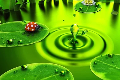 Wallpapers For PC HD Wallpapers