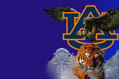 Auburn Glefia.com Wallpapers